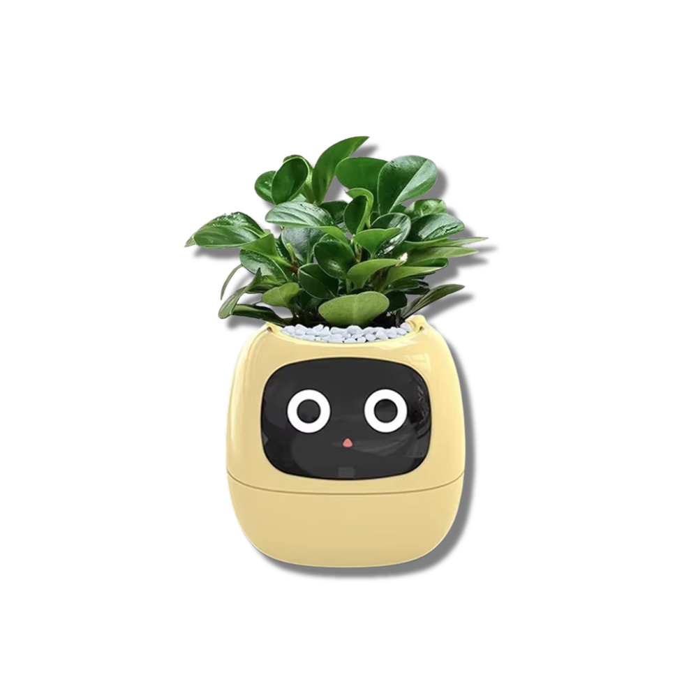 Flora Robot – AI Plant Care Robot for Effortless Healthy Plants